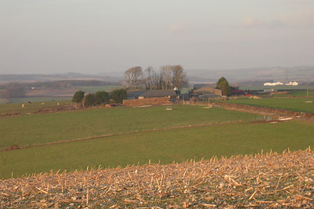 Stubble Field