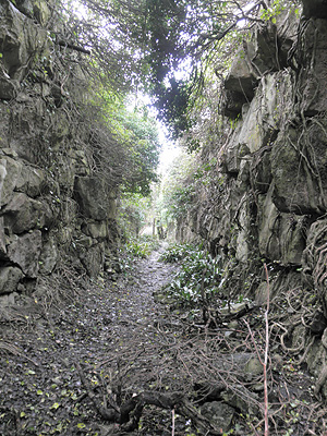 Kingbarrow Gully