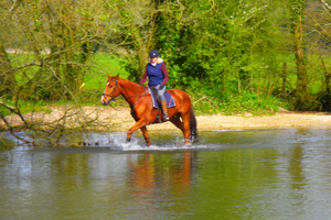 Moreton 