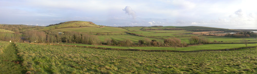 Abbotsbury Swannery from Chapel Hill